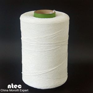 PE σγουρά χόρτο νήματα